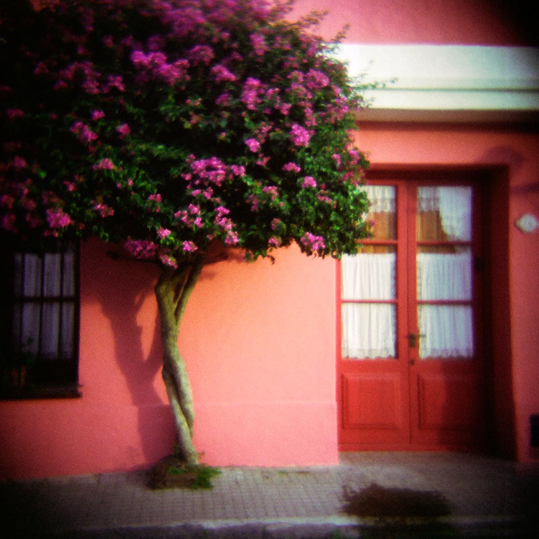 0-025_sacramento_pink